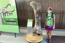 dinosaur national monument