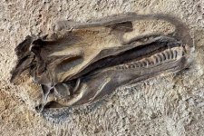 dinosaur national monument