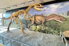 dinosaur national monument