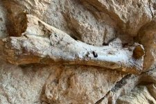 dinosaur national monument
