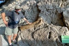dinosaur national monument