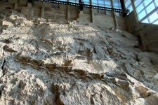 dinosaur national monument