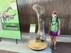 dinosaur national monument