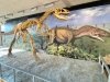 dinosaur national monument