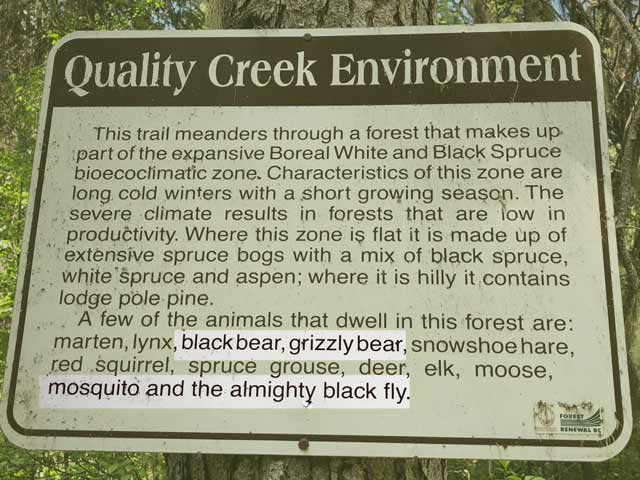 Quality Creek Falls Wildlife