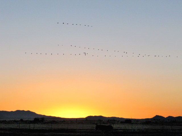 Arizona ranch sunrise