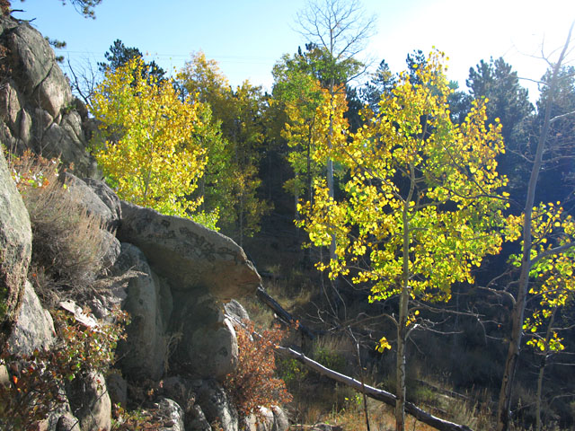 Crystal Lakes Colorado Aspen Fall Colors