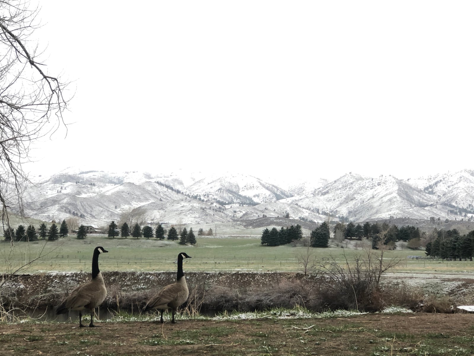 Horsetooth Mountain Fort Collins Colorado