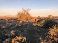 Fountain of Youth Trail
