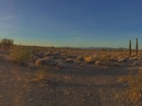 Quartzsite Arizona Cactus Sunrise