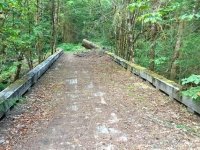 Westfir Trail Run Willamette Forest