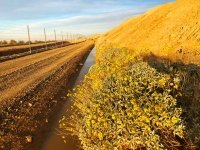 Coachella Canal, Niland CA