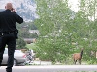 Cops Estes Park, CO