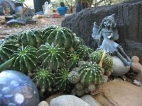 Slab City Grotto Art Garden Cacti
