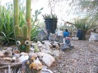 Slab City Grotto Art Garden Cacti