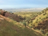 Cow on Breezy Trail, Ephrata WA