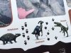 Flatbed Pool Dinosaur Tracks, Tumbler Ridge BC