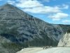 Stone Sheep on Alcan Highway 97 at Stone Mountain Summit