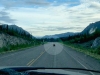 Black Bear on Alcan Highway near Burwash Landing, Yukon