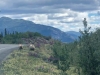 Grizzly Bear Momma and Cubs near Destruction Bay, Yukon