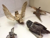 Hyder Alaska History Museum Taxidermy, Bird Mounts