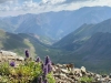 Handies Peak Wildflowers