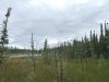 Liard Hot Springs