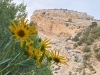 Flower and Bluff