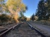 Bizz Johnson Trail