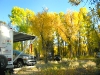 Grand Teton National Forest Trees in the Fall