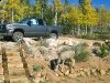 Crystal Lakes Colorado Front Yard Deer