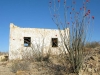 Ocotillo Blooms Over Contrabado Movie Set