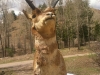 Antelope Head Workamper Ponders Life on the Ranch