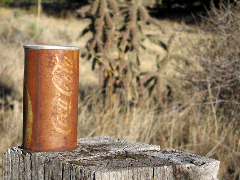 Old Coke Can and Cacti in New Mexico