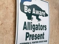 Alligator Warning Sign RV Art