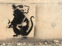 Banksy Style Rat Graffiti