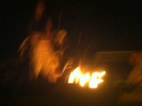 Slab City Lizard Tree Library Poetry Circle Fire