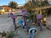 World Famous Crochet Museum Joshua Tree