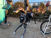 Art at the World Famous Crochet Museum Joshua Tree