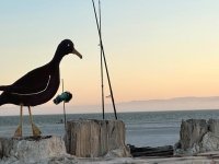 Bombay Beach