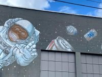 space monkey