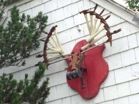 Hammer Museum Haines, Alaska
