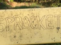 Westfir Trail Run Graffiti