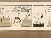 Peanuts