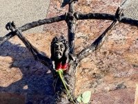 Rosary Crucifix