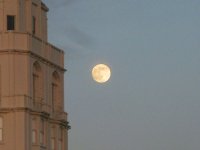 Moon over Alta Plaza Park, San Francisco