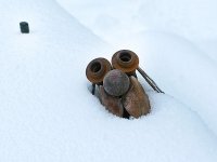 Snow Dog Garden Art at Jerry's Acres