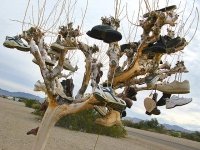 Slab City Shoe Tree
