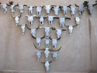 Longhorn Sculpture Gage Hotel Marathon Texas