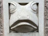 frog relief